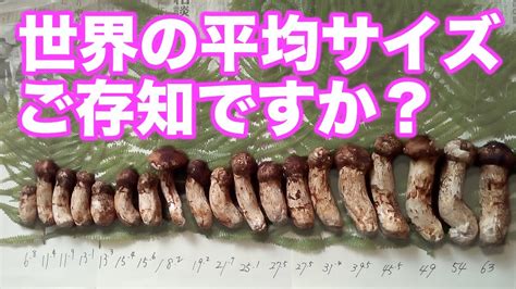 15cm でかい|普通のちんことは？平均の長さから皮の状態まで専門医が解説